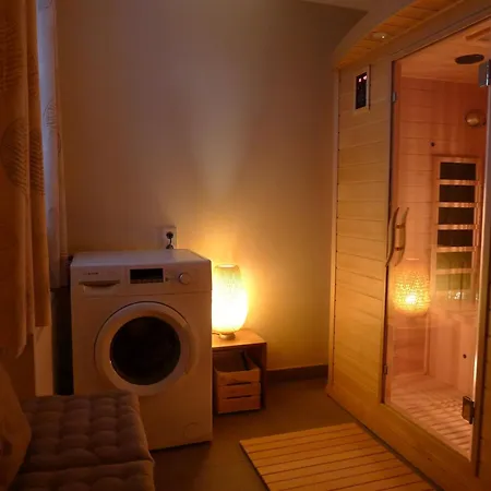Haus Silbererz 5 Sterne-ferienhaus Sankt Andreasberg